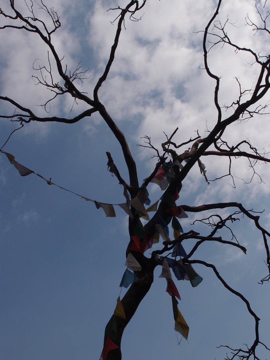 2018-01-14 13 Uhr - Am Tempel (Audio, Foto) 